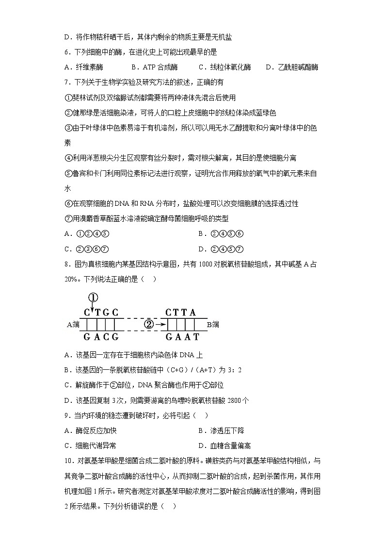 福建省福州第一中学2022-2023学年高三上学期高考第一次调研测试生物试题02
