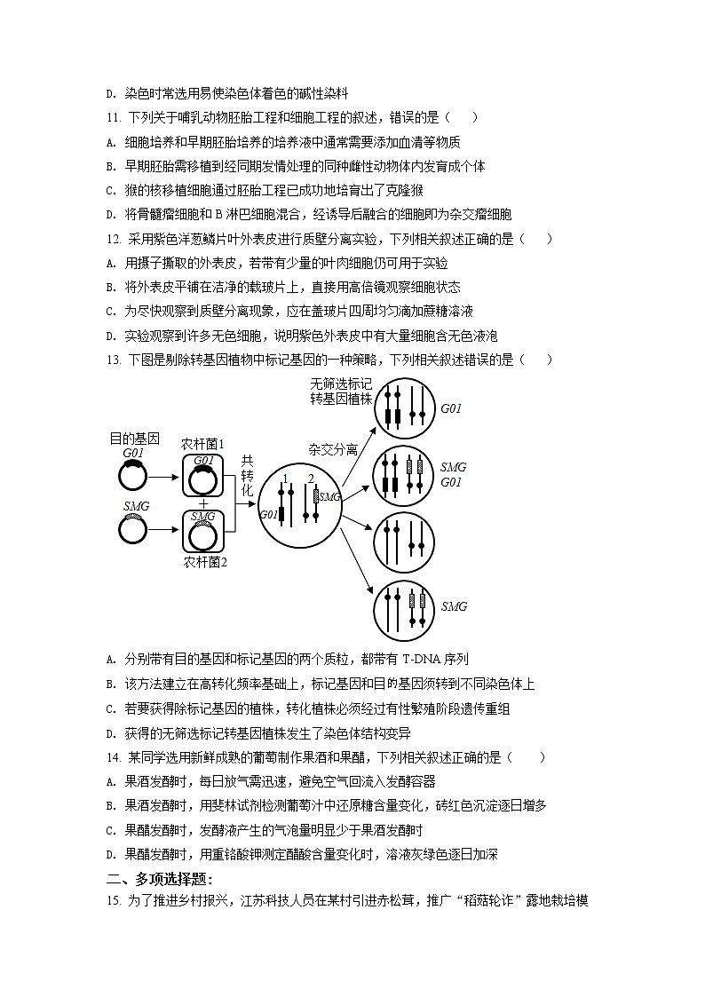 精品解析：2021年新高考江苏生物高考真题（原卷版）03