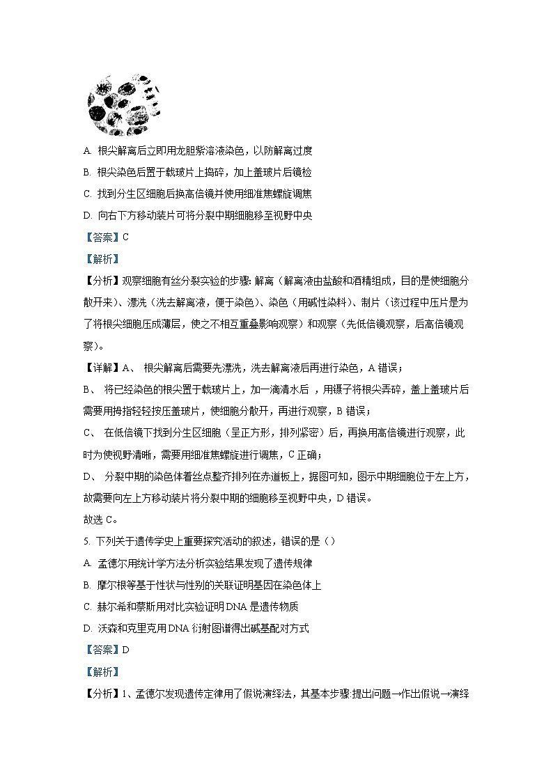 2022年高考真题——生物（广东卷） Word版含解析03