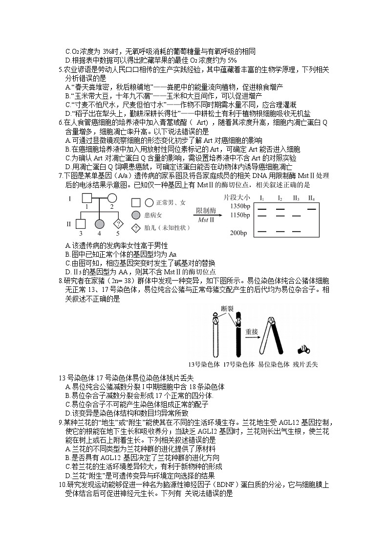 北京市大兴区2022-2023学年高三生物上学期期末检测试卷（Word版附答案）02