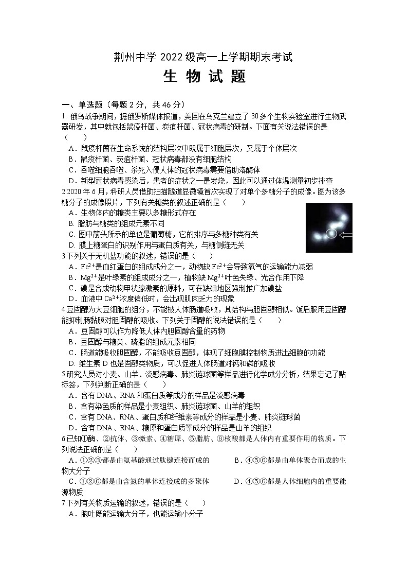 湖北省荆州中学2022-2023学年高一生物上学期期末考试试卷（Word版附答案）01