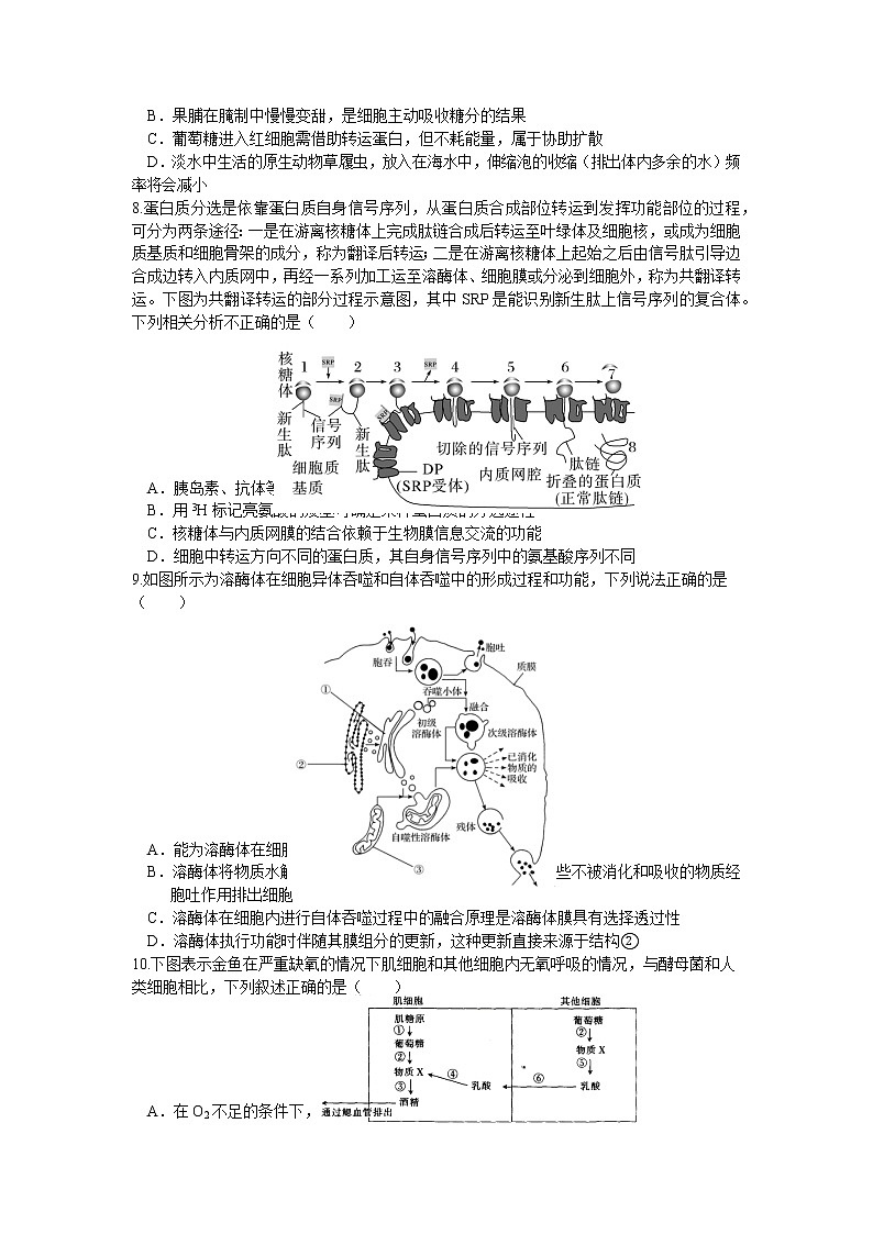 湖北省荆州中学2022-2023学年高一生物上学期期末考试试卷（Word版附答案）02