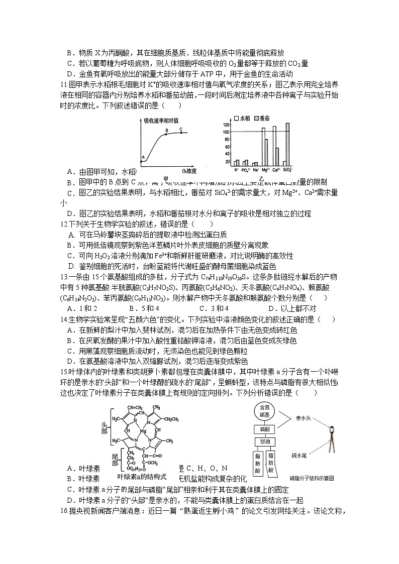 湖北省荆州中学2022-2023学年高一生物上学期期末考试试卷（Word版附答案）03
