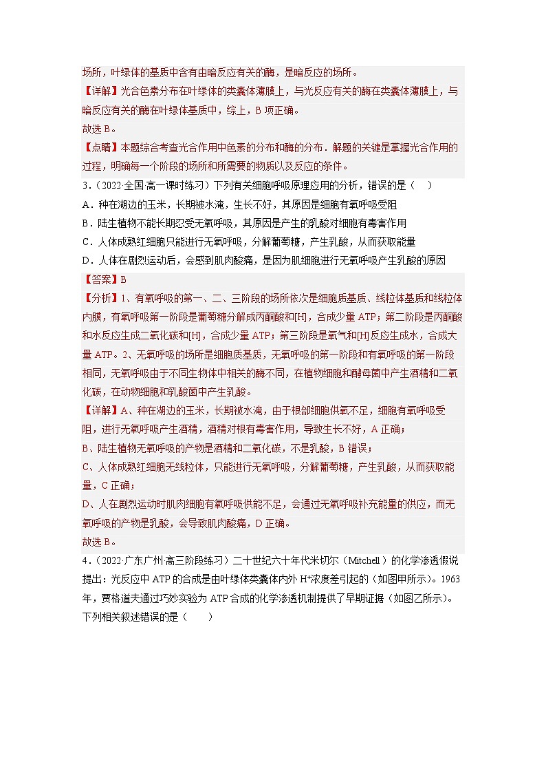 2023年高考生物二轮复习试题（全国通用）04细胞的能量供应和利用（Word版附解析）第2页