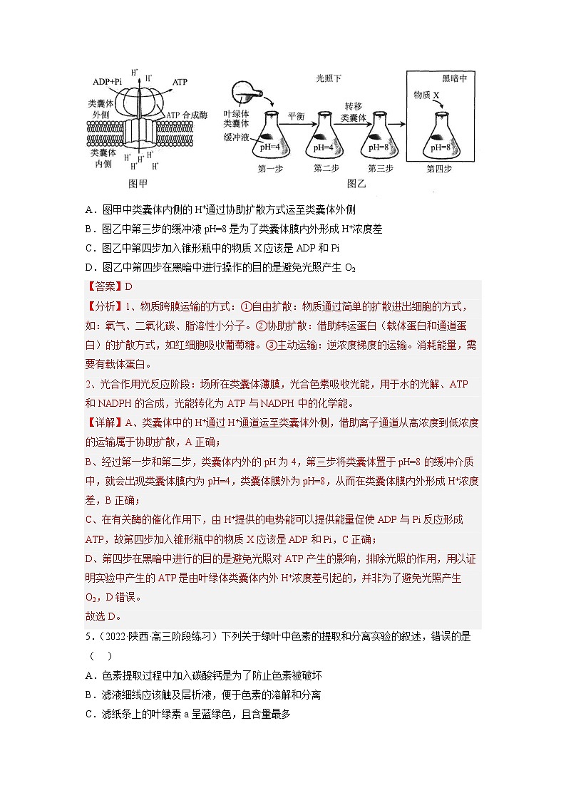 2023年高考生物二轮复习试题（全国通用）04细胞的能量供应和利用（Word版附解析）第3页