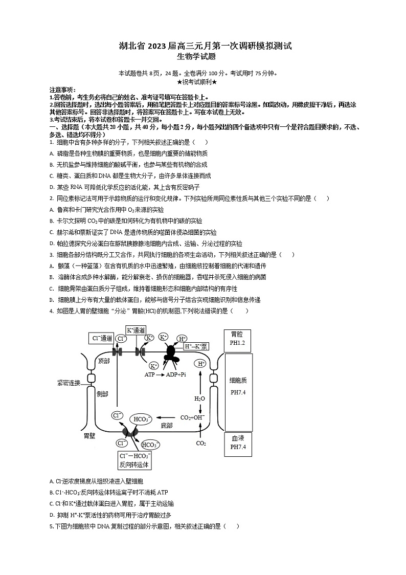 湖北省2023届高三生物元月第一次调研模拟测试试题（Word版附解析）01
