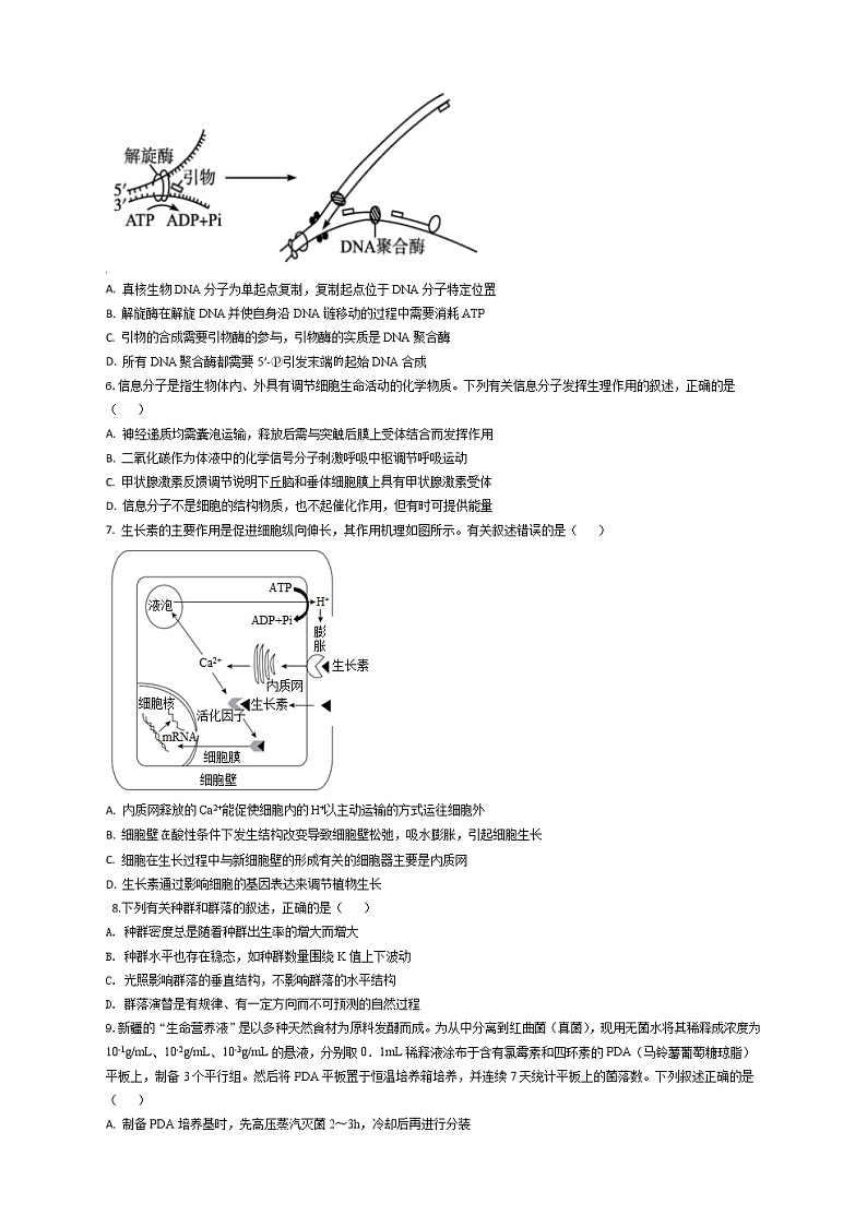 湖北省2023届高三生物元月第一次调研模拟测试试题（Word版附解析）02
