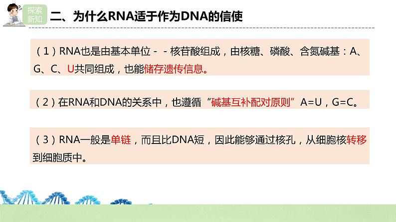 【核心素养】人教版高中生物必修二4.1《基因指导蛋白质的合成》课件PPT+教案+练习07