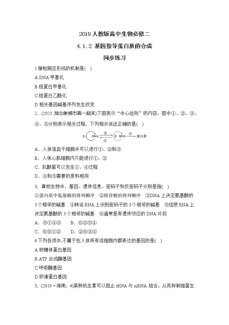 【核心素养】人教版高中生物必修二4.1《基因指导蛋白质的合成》课件PPT+教案+练习01