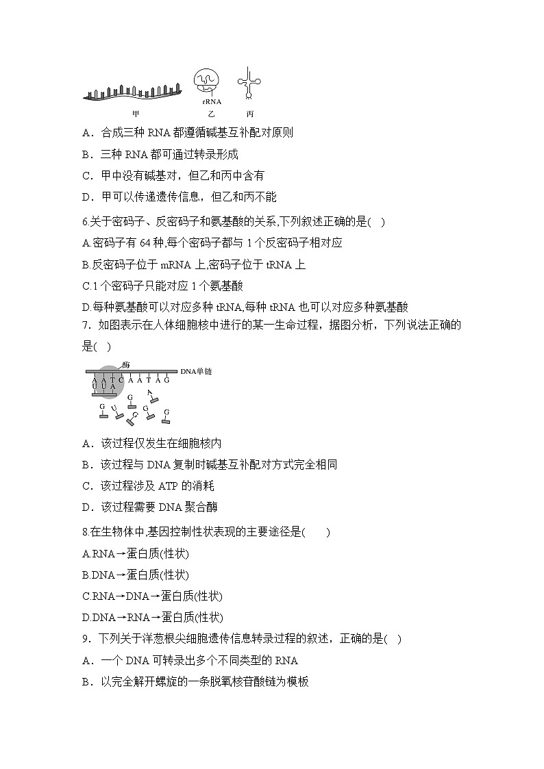 【核心素养】人教版高中生物必修二4.1《基因指导蛋白质的合成》课件PPT+教案+练习02