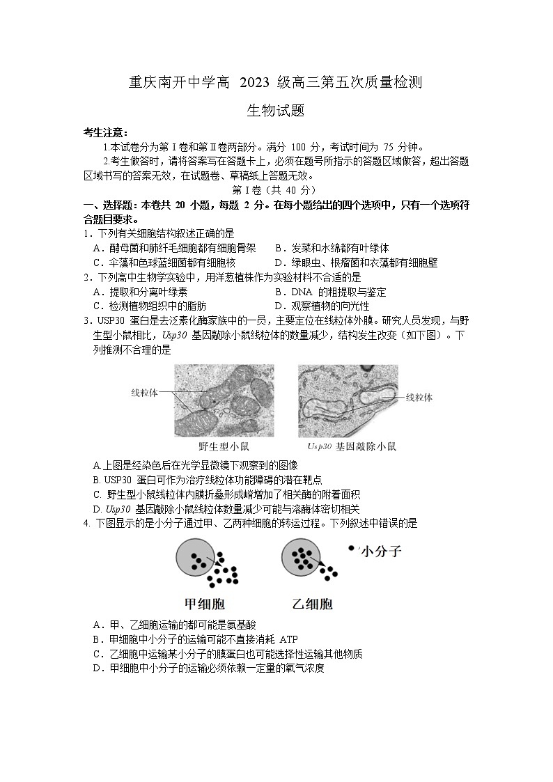 2023重庆市南开中学高三上学期质量检测（五）生物试题含答案01