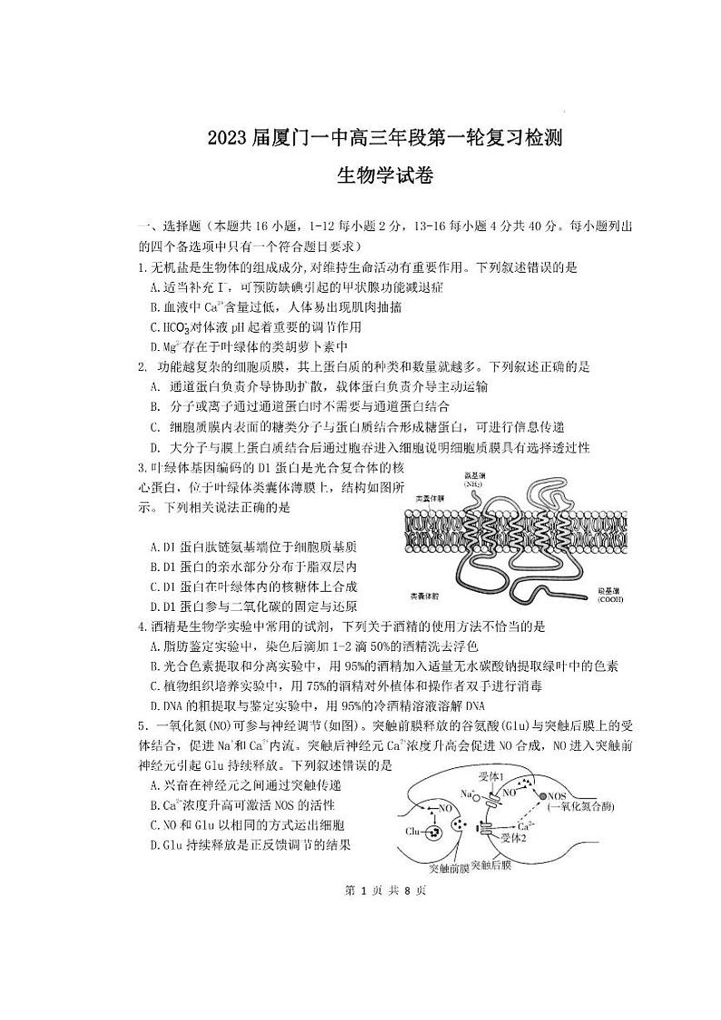 2023厦门一中高三上学期12月月考生物试题PDF版含答案第1页