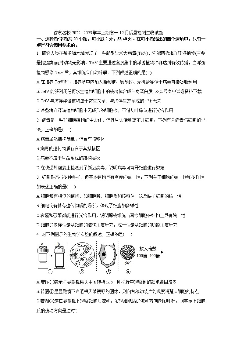 2023河南省豫东名校--上学期高一12月质量检测生物试题含答案第1页