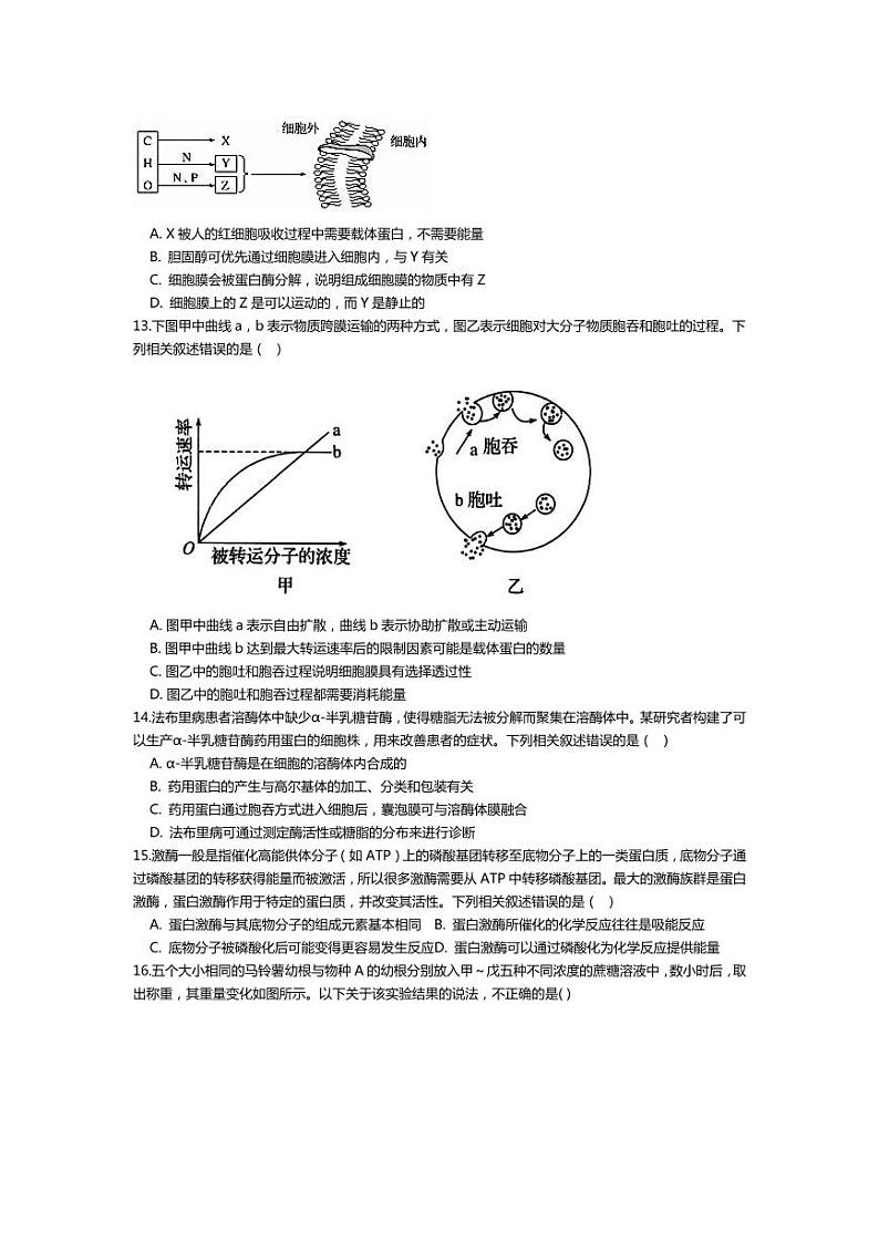湖北省襄阳市第四中学2022-2023学年高一上学期12月月考生物试题第3页