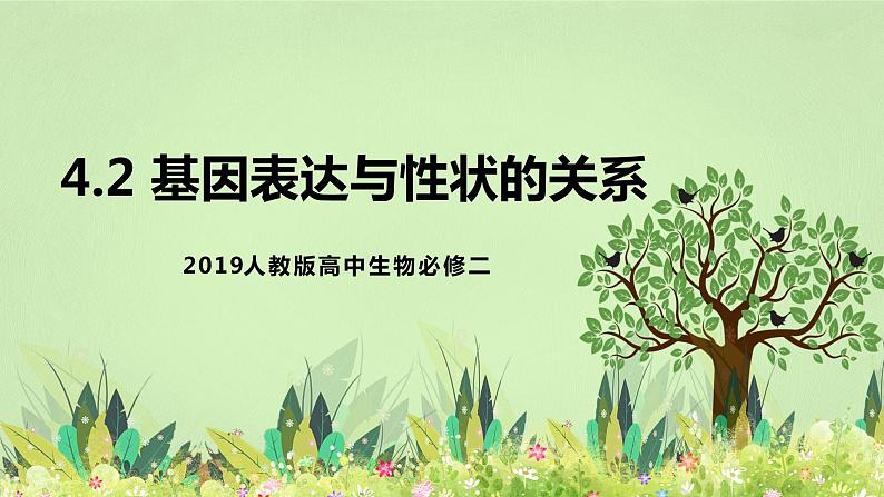 2019人教版高中生物必修二4.2《基因表达与性状的关系》课件第1页