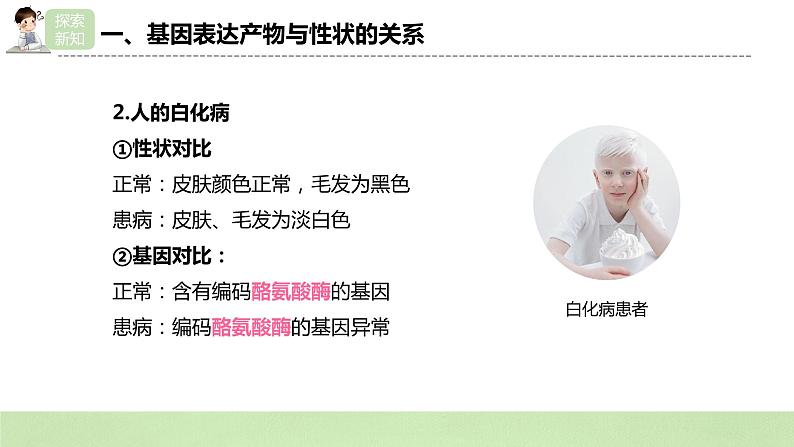 2019人教版高中生物必修二4.2《基因表达与性状的关系》课件第7页