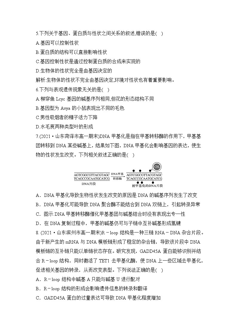 2019人教版高中生物必修二4.2《基因表达与性状的关系》同步练习第2页