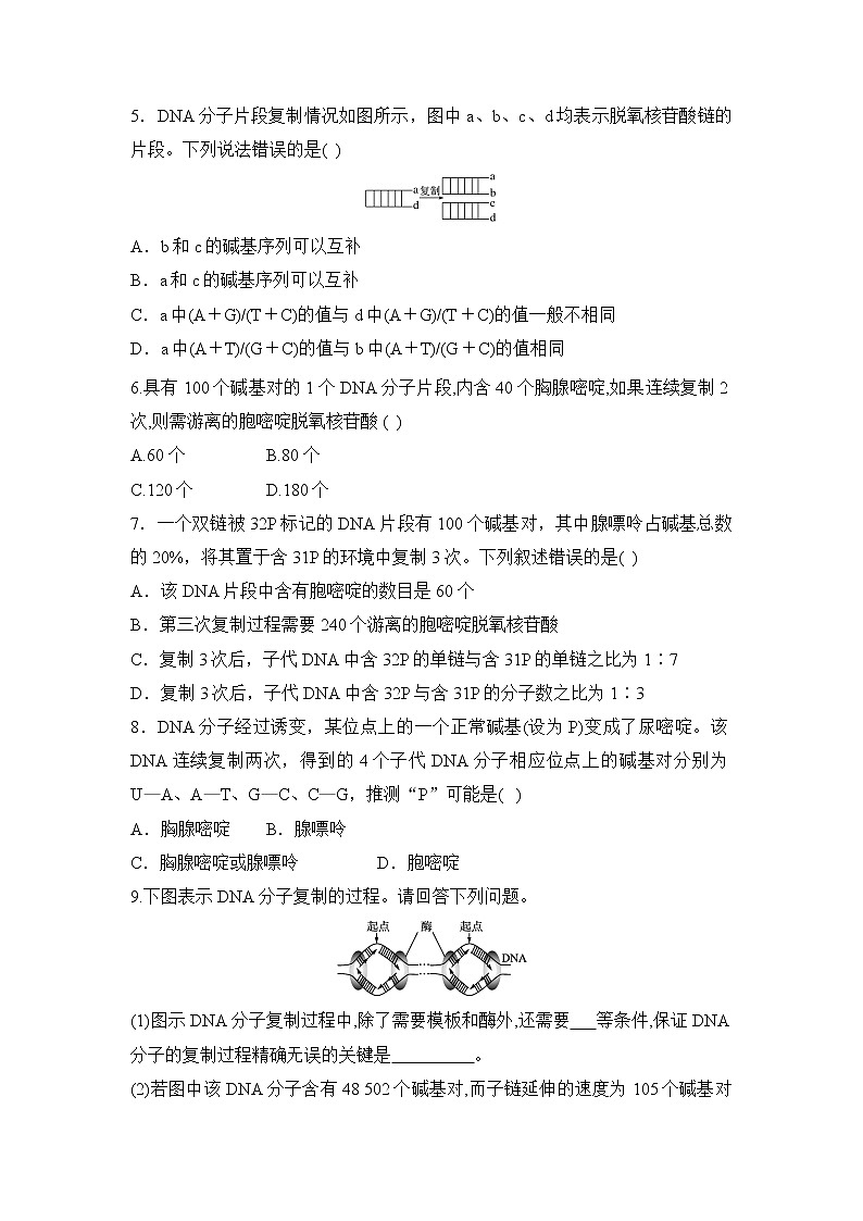 2019人教版高中生物必修二3.3《DNA的复制》同步练习第2页