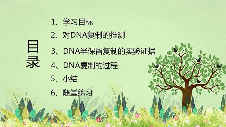 【核心素养】人教版高中生物必修二3.3《DNA的复制》课件PPT+教案+练习02