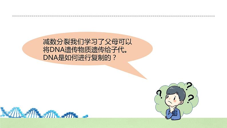 【核心素养】人教版高中生物必修二3.3《DNA的复制》课件PPT+教案+练习03