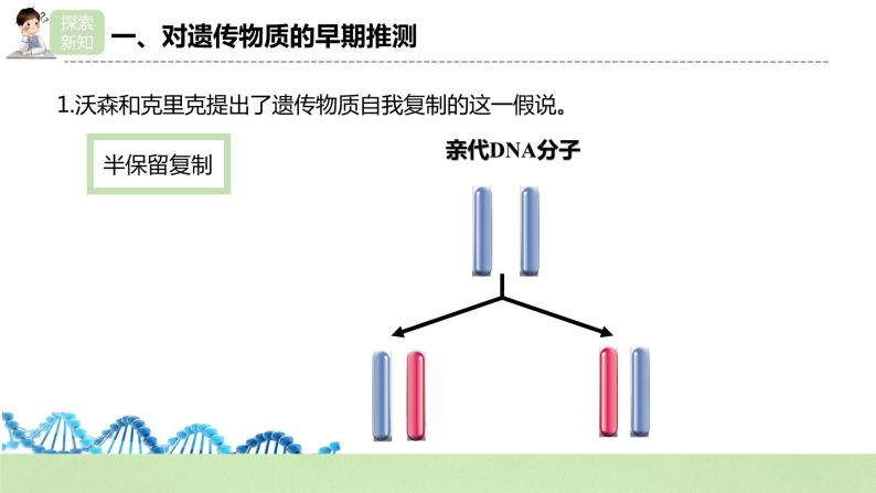 【核心素养】人教版高中生物必修二3.3《DNA的复制》课件PPT+教案+练习05