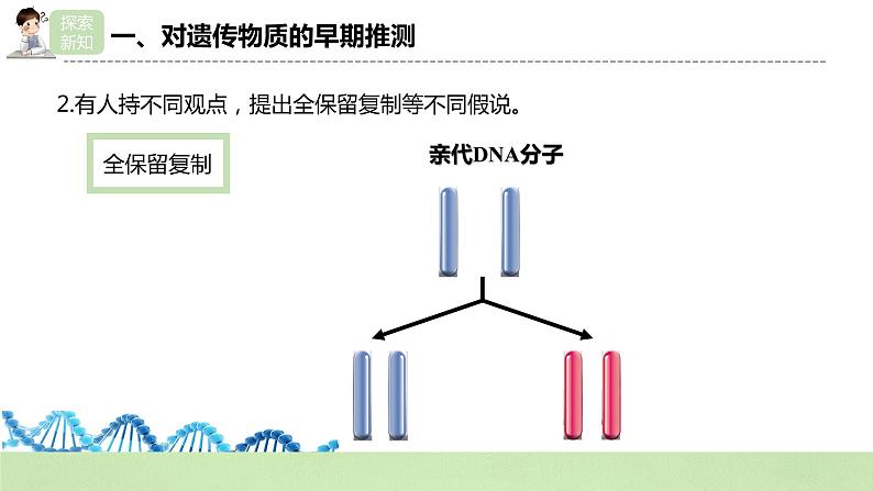 【核心素养】人教版高中生物必修二3.3《DNA的复制》课件PPT+教案+练习06