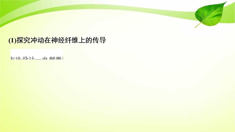 2022年高考生物复习：加强提升课件(七)反射弧中兴奋传导特点的实验探究(含解析)第4页