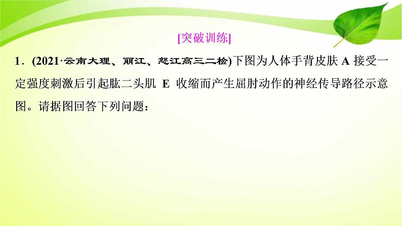 2022年高考生物复习：加强提升课件(七)反射弧中兴奋传导特点的实验探究(含解析)第6页