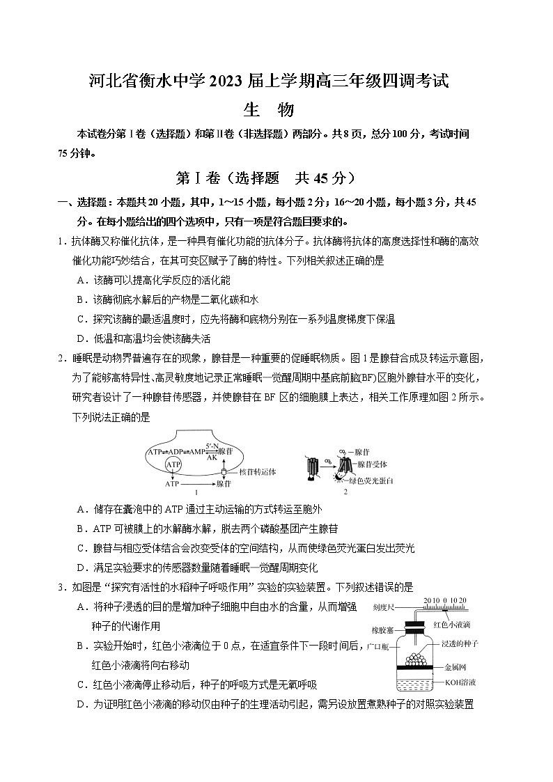 河北省衡水中学2022-2023学年高三生物上学期四调考试试卷（Word版附解析）第1页