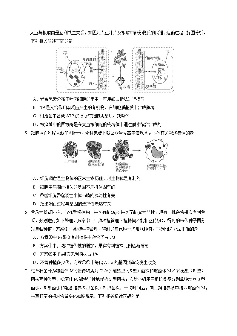 河北省衡水中学2022-2023学年高三生物上学期四调考试试卷（Word版附解析）第2页