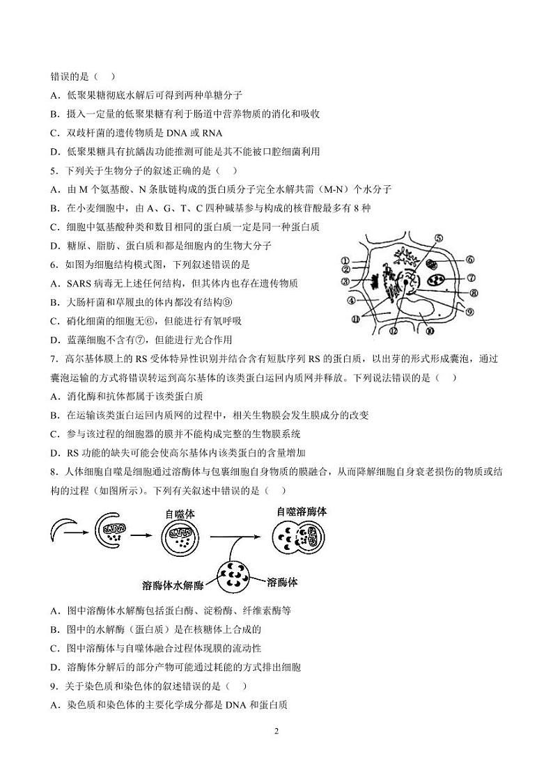 山东省滕州市第一中学西校2022-2023学年高一生物上学期期末模拟试题（PDF版附答案）第2页