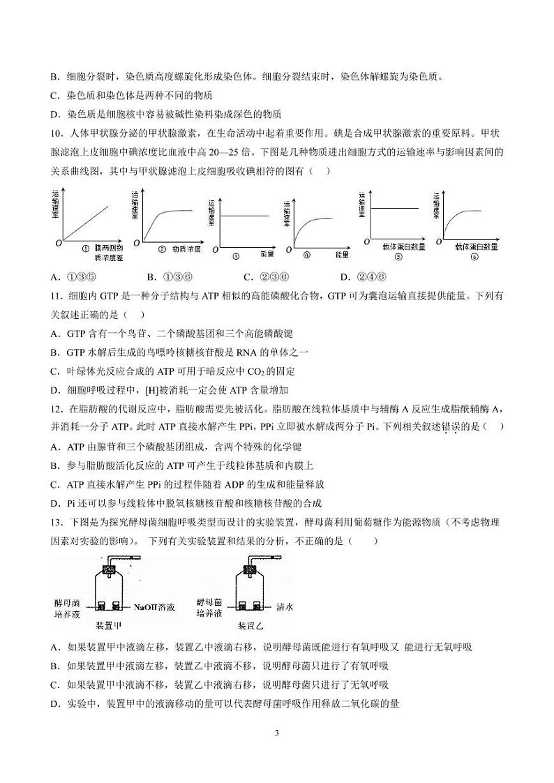 山东省滕州市第一中学西校2022-2023学年高一生物上学期期末模拟试题（PDF版附答案）第3页