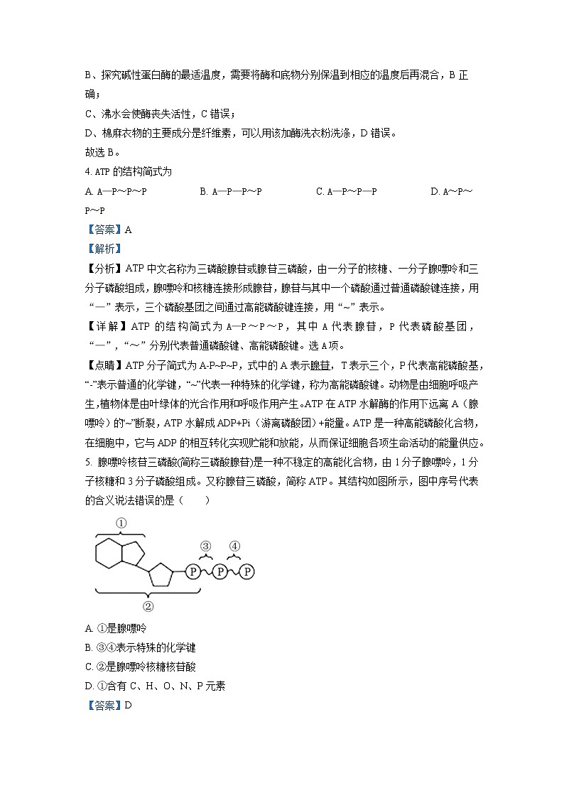 山东省滕州市第五中学2022-2023学年高一生物上学期第二次线上考试试题（Word版附解析）第2页