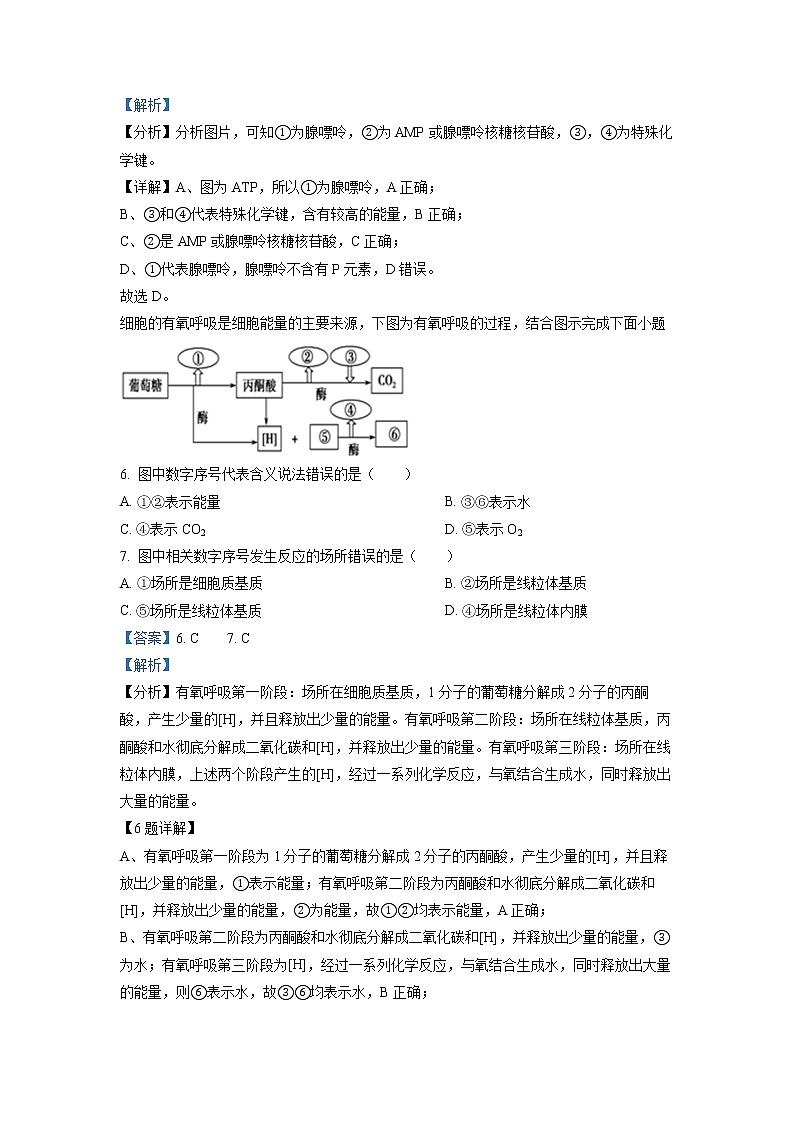 山东省滕州市第五中学2022-2023学年高一生物上学期第二次线上考试试题（Word版附解析）第3页