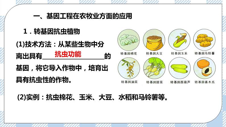 人教统编版高中生物选修三 第三章第3节  基因工程的应用 课件+教学设计03