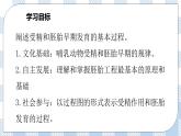 人教统编版高中生物选修三 第二章第3节 一  胚胎工程的理论基础 课件+教学设计
