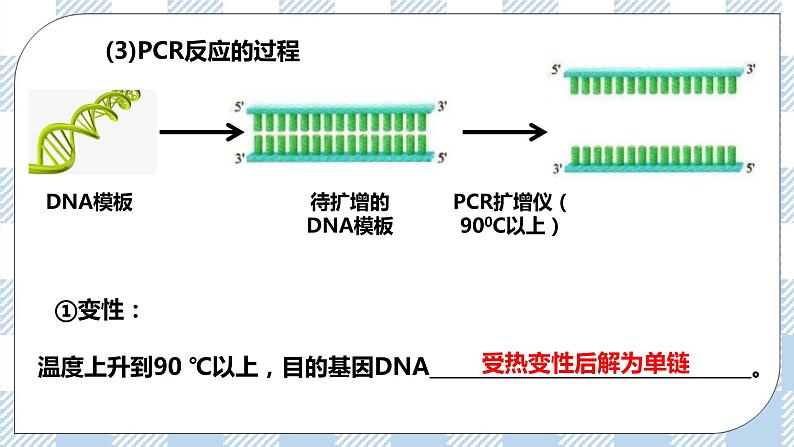 人教统编版高中生物选修三 第三章第2节  基因工程的基本操作程序 课件+教学设计08