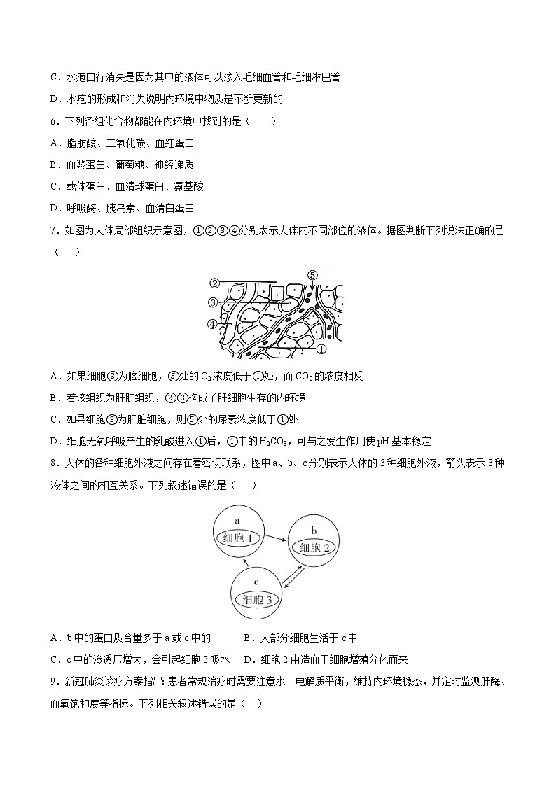 1.1 细胞生活的环境 2课时课件＋课时作业（原卷＋解析卷）02