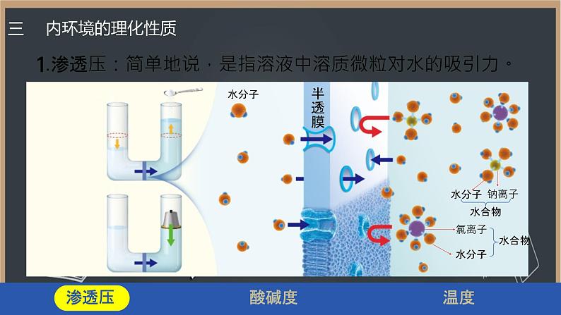 1.1 细胞生活的环境（第二课时）课件第4页