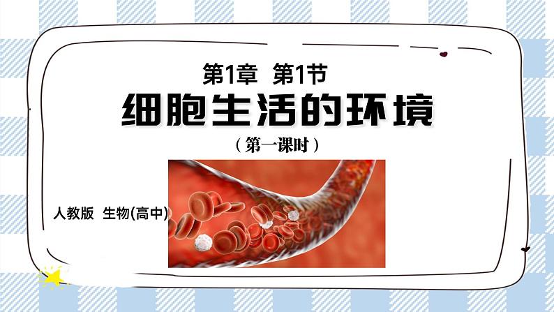 1.1 细胞生活的环境 2课时课件＋课时作业（原卷＋解析卷）01