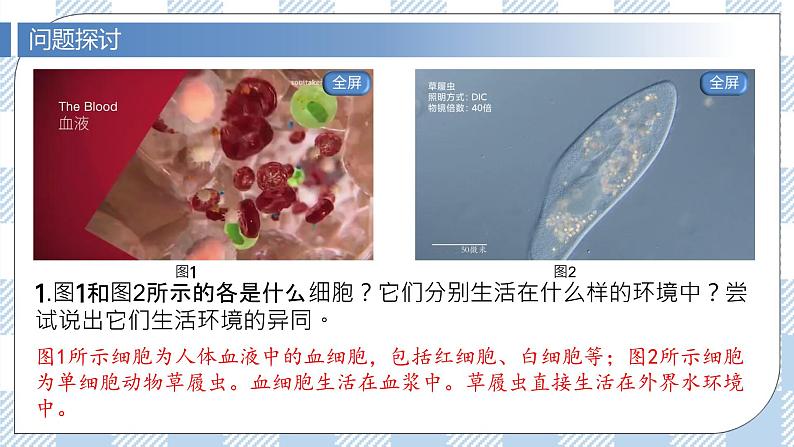1.1 细胞生活的环境 2课时课件＋课时作业（原卷＋解析卷）02