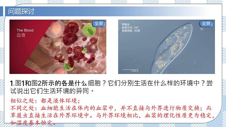 1.1 细胞生活的环境 2课时课件＋课时作业（原卷＋解析卷）03