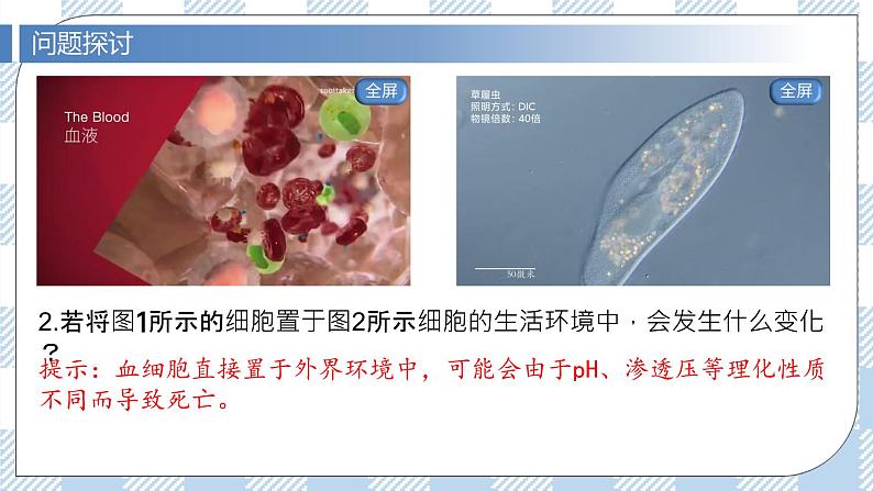 1.1 细胞生活的环境 2课时课件＋课时作业（原卷＋解析卷）04