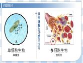 1.1 细胞生活的环境 2课时课件＋课时作业（原卷＋解析卷）