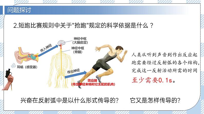 2.3 神经冲动的产生和传导（第一课时）课件第5页