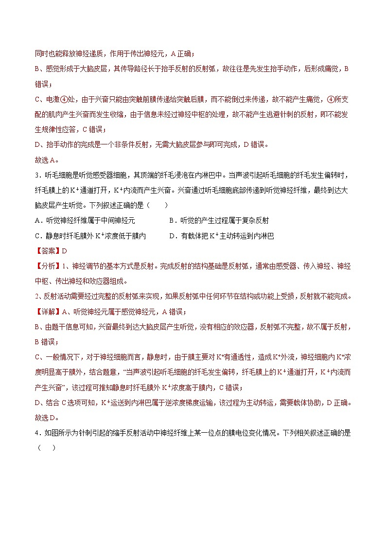 2.3 神经冲动的产生和传导（课时作业）（解析版）第2页