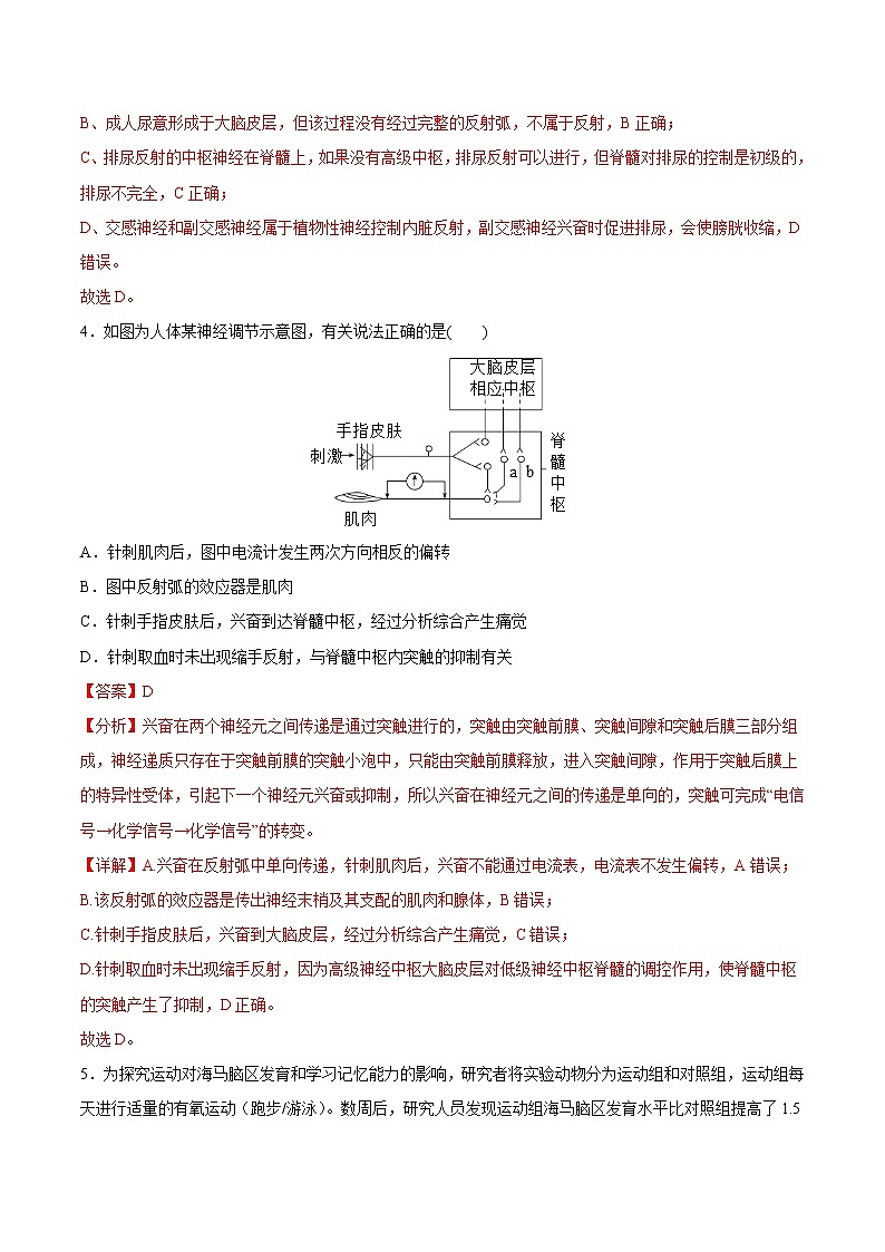 2.4 神经系统的分级调节 课件＋课时作业（原卷＋解析卷）03