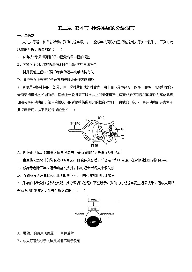 2.4 神经系统的分级调节 课件＋课时作业（原卷＋解析卷）01