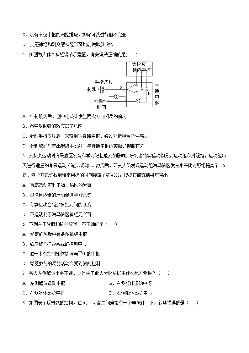 2.4 神经系统的分级调节 课件＋课时作业（原卷＋解析卷）02