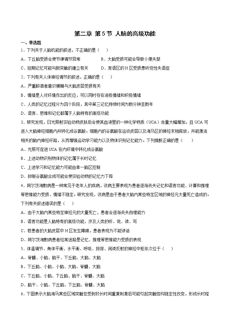 2.5 人脑的高级功能 2课时课件＋课时作业（原卷＋解析卷）01